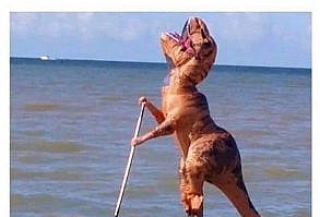 Awesome selection of hilarious and funny Christian memes! If you like funny religious memes then you have found the right place. Discover over 100 faith memes. You will find a slew of different kinds of hilarious pictures like prayer memes, bible memes, funny church memes, Jesus memes, amen memes, and so many more. These are great to share with friends and family and bring a smile to their face. Everyone loves a funny picture. Christian memes - funny catholic memes #funny