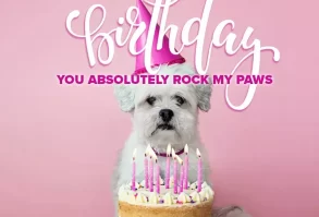 Happy birthday image for a friend.