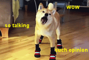 The award for Best Doge goes to…