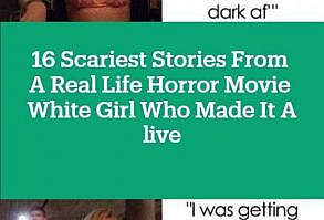 However, this stupidity is what makes some horror movies fun. After all, in most slasher movies, we already know that everyone has reached their end anyway and only one girl will survive. So at…