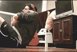 17 Cats Who Need To Be Stopped Right This Second