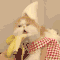 Banana Cat.gif (500×281)