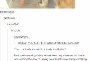 20 Funny Posts About Animals From All Over the Interwebs - I Can Has Cheezburger? - Funny Cats | Funny Pictures | Funny Cat Memes | GIF | Cat GIFs | Dogs | Animal Captions | LOLcats | Have Fun | Funny Memes