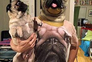 20 Pugs que te sacarán un sonrisa