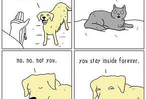 21 Incredible 'They Can Talk' Animal Comics By Jimmy - I Can Has Cheezburger?