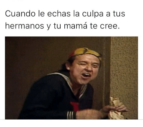 21 Memes que resumen perfectamente la vida entre hermanos