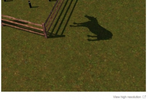 21 Times “The Sims