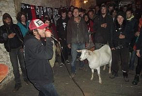 The goat doesn't seem too impressed with the singer.