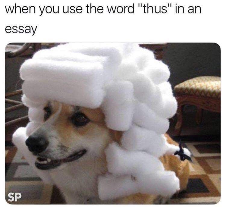 Cheezburger Image 9271127808