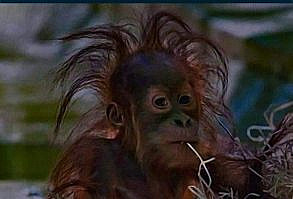 26 times people had fun at work - Gallery