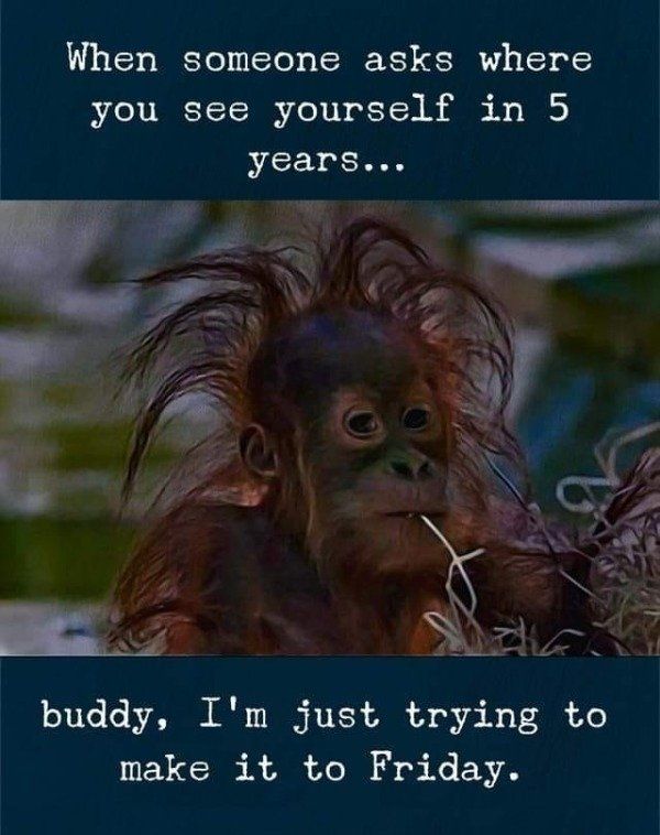 26 times people had fun at work - Gallery