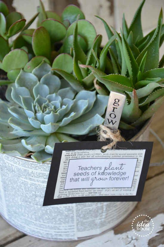 28 Pun-Tastic Teacher Gifts