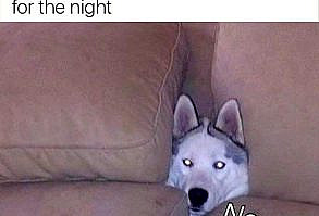 Cheezburger.com - Crafted from the finest Internets.