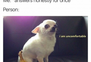 Cheezburger.com - Crafted from the finest Internets.