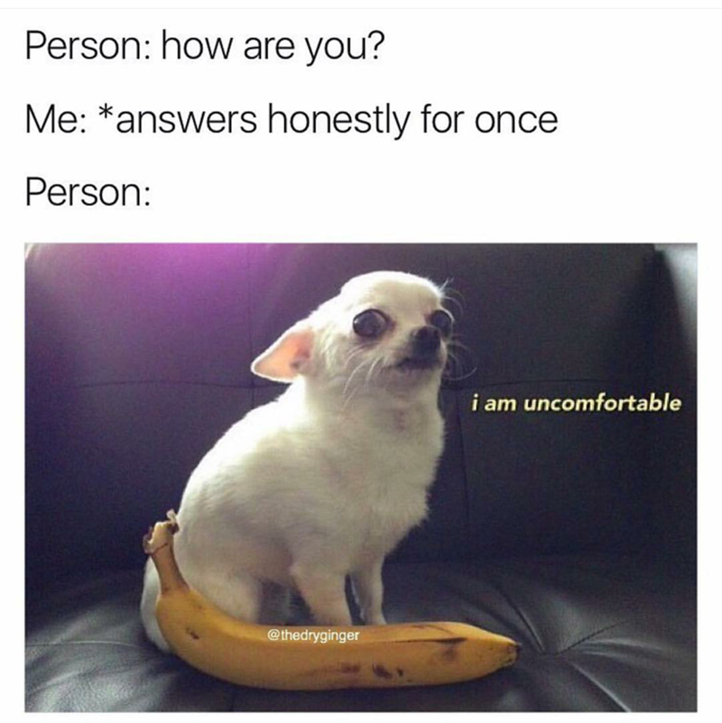 Cheezburger.com - Crafted from the finest Internets.