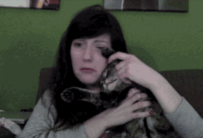 29 Things You Know If Your Facebook Profile Is A Photo Of A Cat