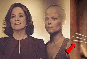 In nearly every actor's career, there is one character that they become well-known for; it doesn't matter if the actor had 100 roles after this iconic part, they will always be referred to as this specific character. From Michael J. Fox as Marty McFly to Mike Myers as Austin Powers, these actors shot to fame because of these memorable roles.