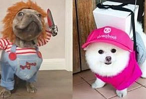 30+ Best Indoor Dog Kennel Ideas – The Paws