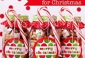 30 Novelty Christmas Gift Ideas - Christmas Celebration - All about Christmas