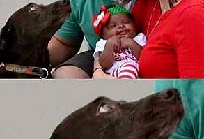 32 Random Memes And Tweets To Help You Fend Off That Crippling Monotony