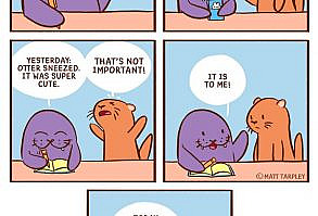 My 122 Wholesome ‘Cat’s Café’ Comics That Will Make Your Day (New Pics)