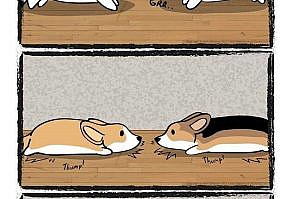 35 FRESH MEMES FOR TODAY #62 – Funnyfoto | Funny Pictures - Videos - Gifs - Page 19