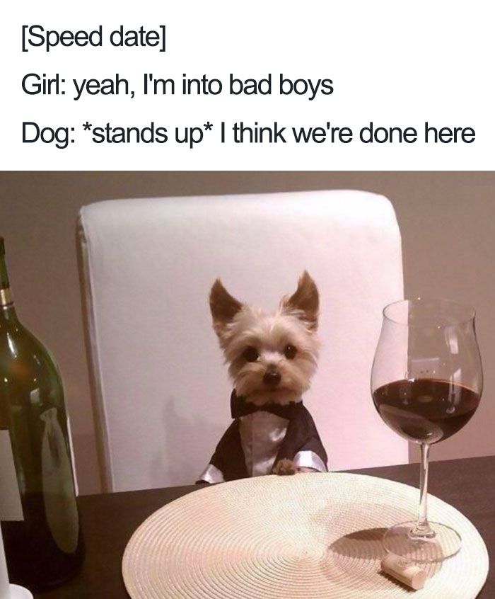 Wholesome Meme