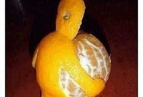 37 Hilarious New Funny Pictures