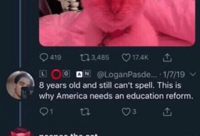 38 Sunbathing-Filled Cat Memes For This Perfect Caturday - I Can Has Cheezburger?