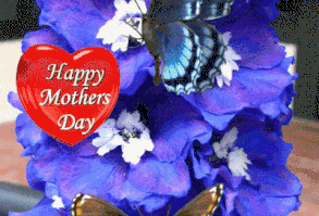 3D Butterfly Happy Mother's Day Gif Pictures, Photos, and Images for Facebook, Tumblr, Pinterest, and Twitter
