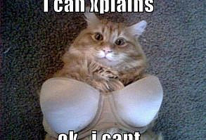 Declawing cats is a controversial procedure! Here are 4 Alternatives to Declawing Your Cats. #pethealth