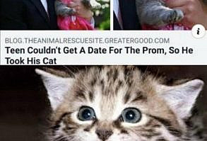 41 Damn Good Memes & Other Funny Things - Memebase - Funny Memes