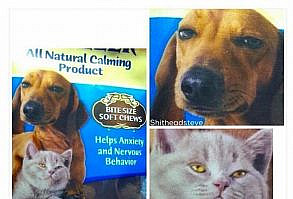 41 Funny Pics and Gifs That Should Crack You Up