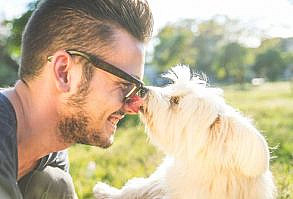 We love our dogs as if they are members of our families – because to us they are! We show our dogs we love them in so many ways outside of just their regular care and maintenance, by doing …