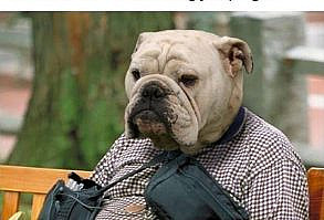 Cheezburger Image 9072093696