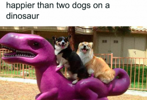 People-Share-Super-Wholesome-Pics