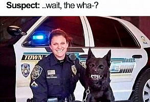 Thanks, I Hate Police Werewolves