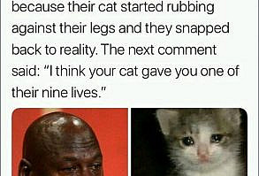 50 Wholesome Clean Memes That Bring the Feels - Funny Gallery