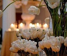 53 Happy Birthday Messages, Cards, and Memes to Share With Your Loved Ones - Feels Gallery