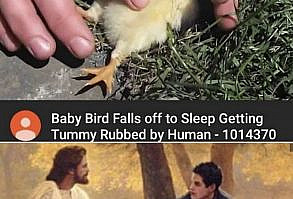 56 Funny Memes and Pics to Help Pass the Time - Funny Gallery