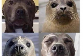 A Spunky Selection Of Different Memes - Memebase - Funny Memes