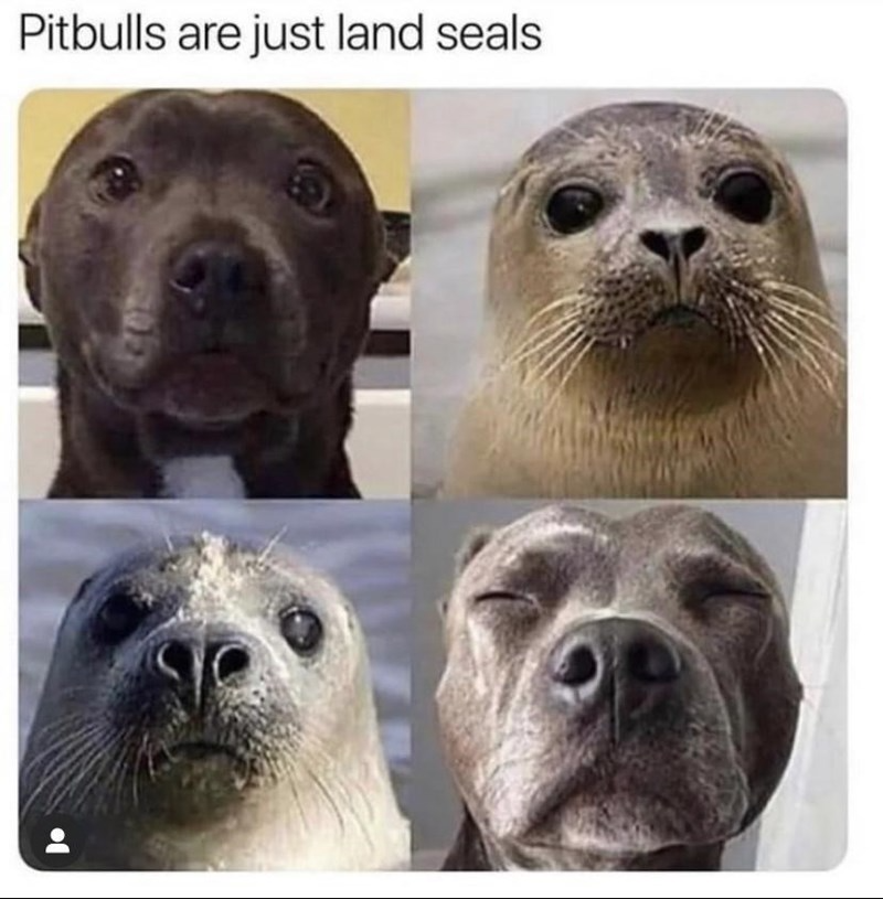 A Spunky Selection Of Different Memes - Memebase - Funny Memes