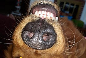 A little upsidedown head scratch!