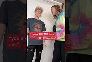 ANYTHING for a Cat 🐈💕 w Mattie Westbrouck- #shorts - YouTube