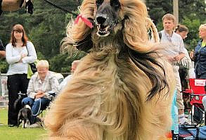 stunning is the word