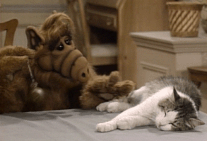 Alf’s complicated relationship with cats. | 16 Reasons We Loved NBC Sitcoms In The ’80s