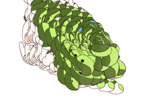 An 'Adventure Time' Clone Army and Other Hallucinogenic GIFs | The Creators Project