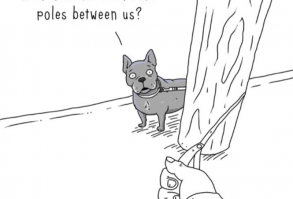 And I Thought the Leash was Humiliating... - I Has A Hotdog - Dog Pictures - Funny pictures of dogs - Dog Memes - Puppy pictures - doge