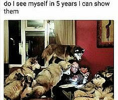 Have Some Laughs With These Fresh Animal Memes