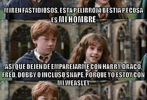 Memes de Harry Potter. - (Si eres fan del Dramione o otra pareja con Hermione pues no veas este meme) - Wattpad